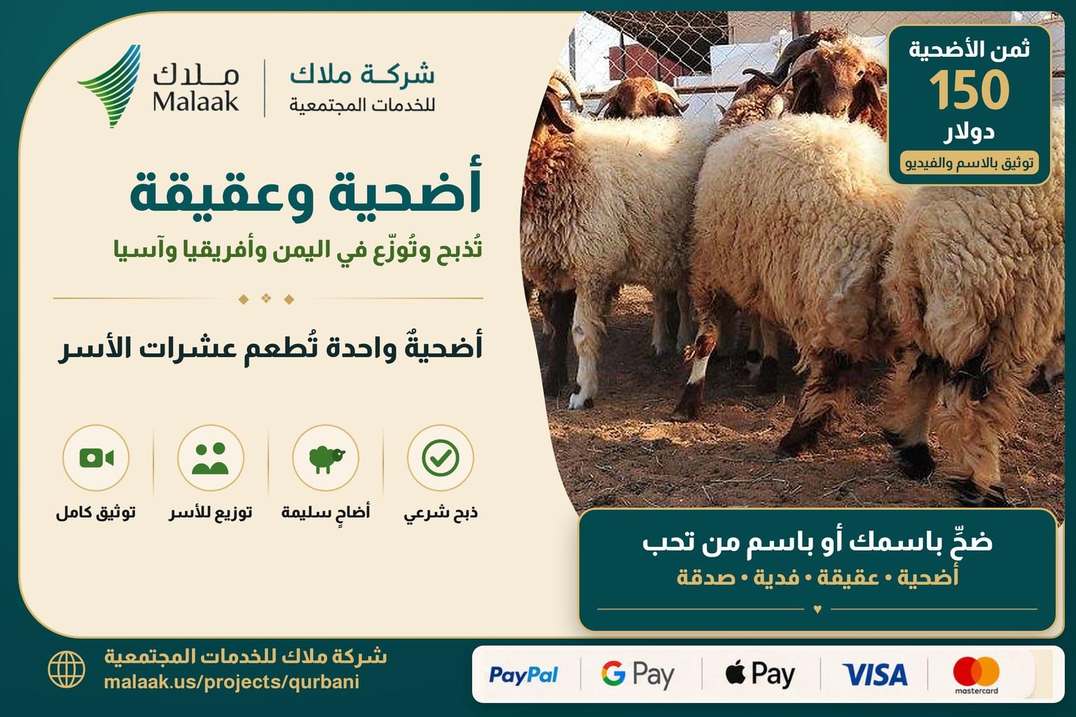 مشروع الأضاحي والعقائق يطعم عشرات الأسر